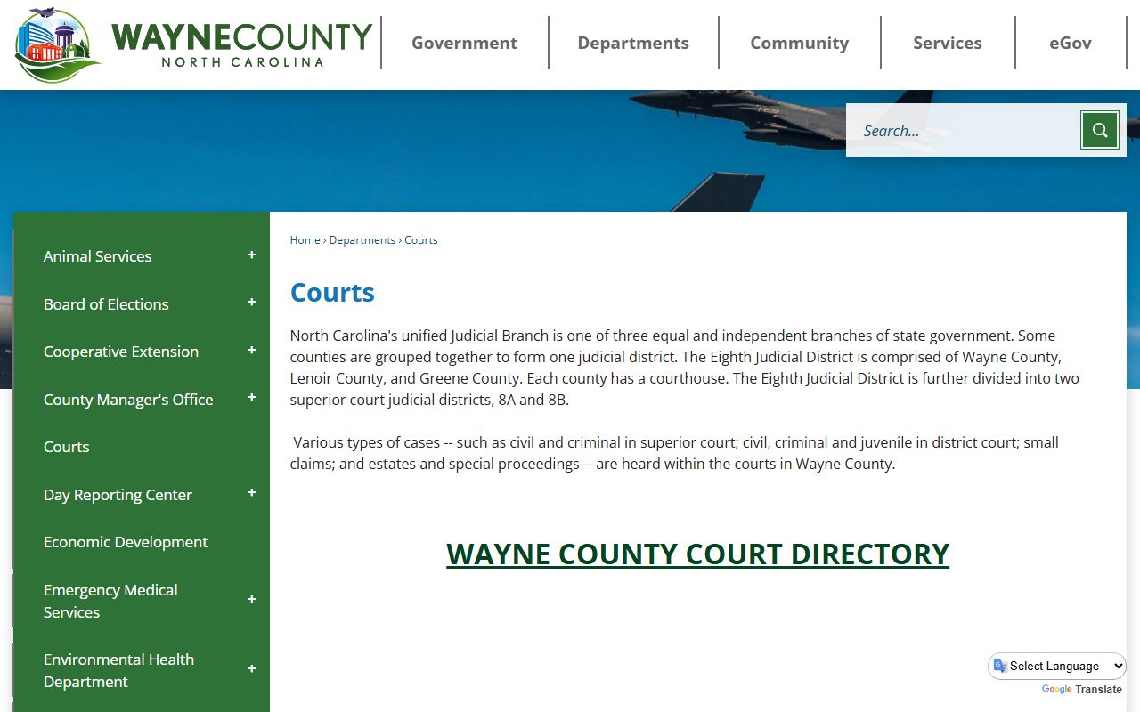 Wayne County court records government courts overview