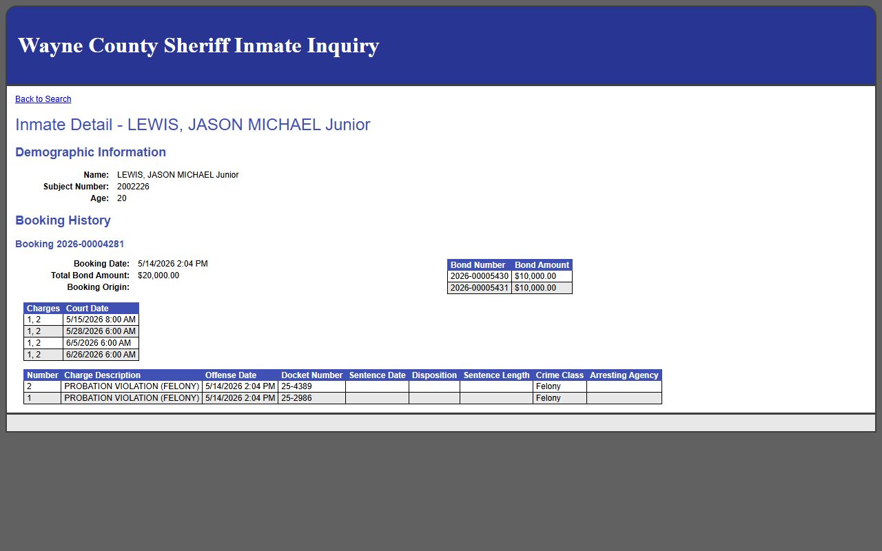Wayne County inmate records sample inmate profile fields